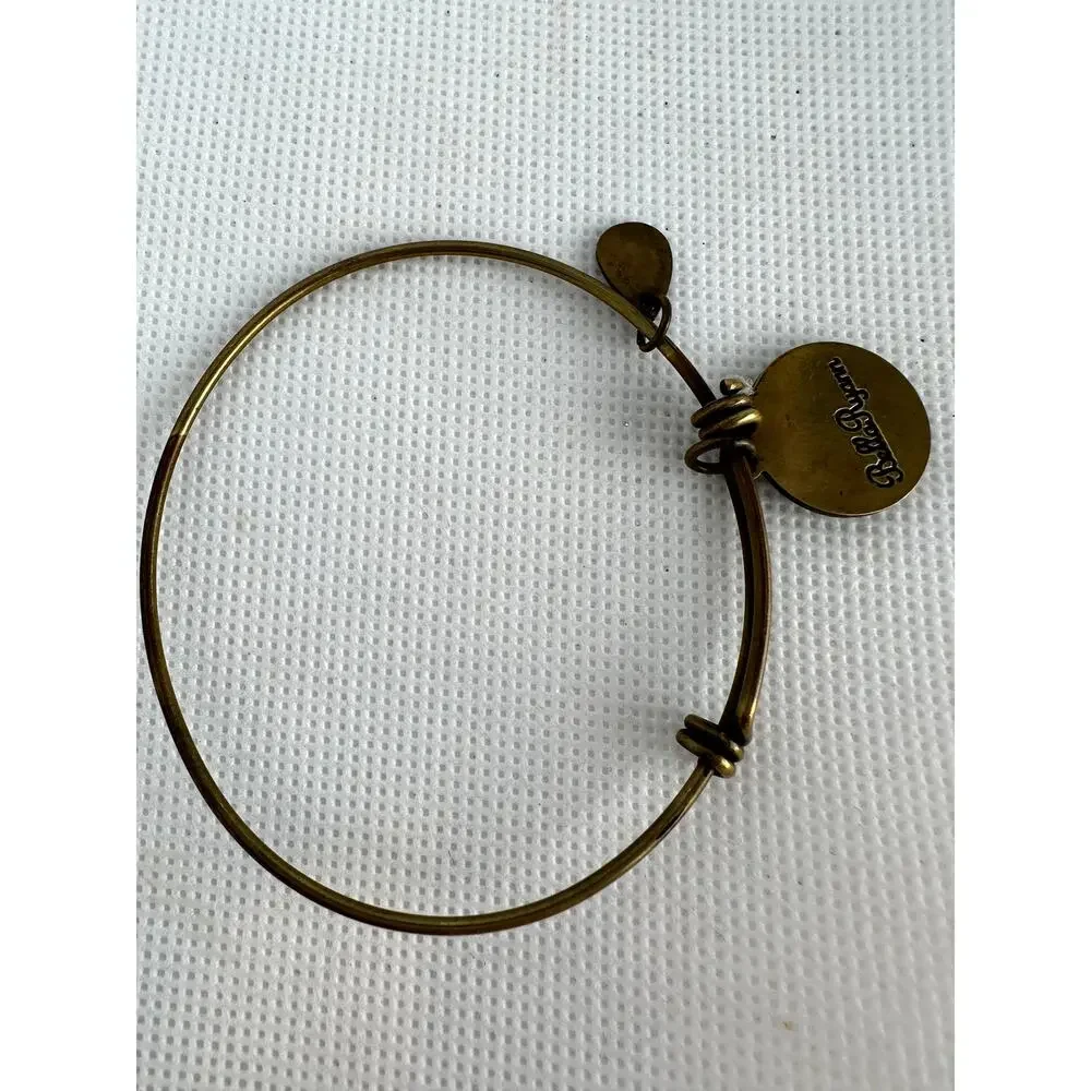 Alex + Ani Energy Charm Bracelet Virgin Mary Baby Jesus